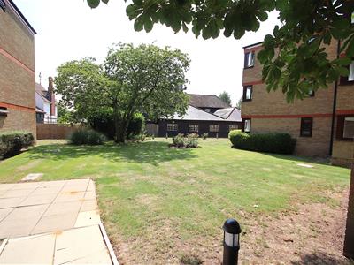 Picture 8
